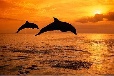 射击类银河战士恶魔城游戏《狂怒之枪》Steam页面 年内发售